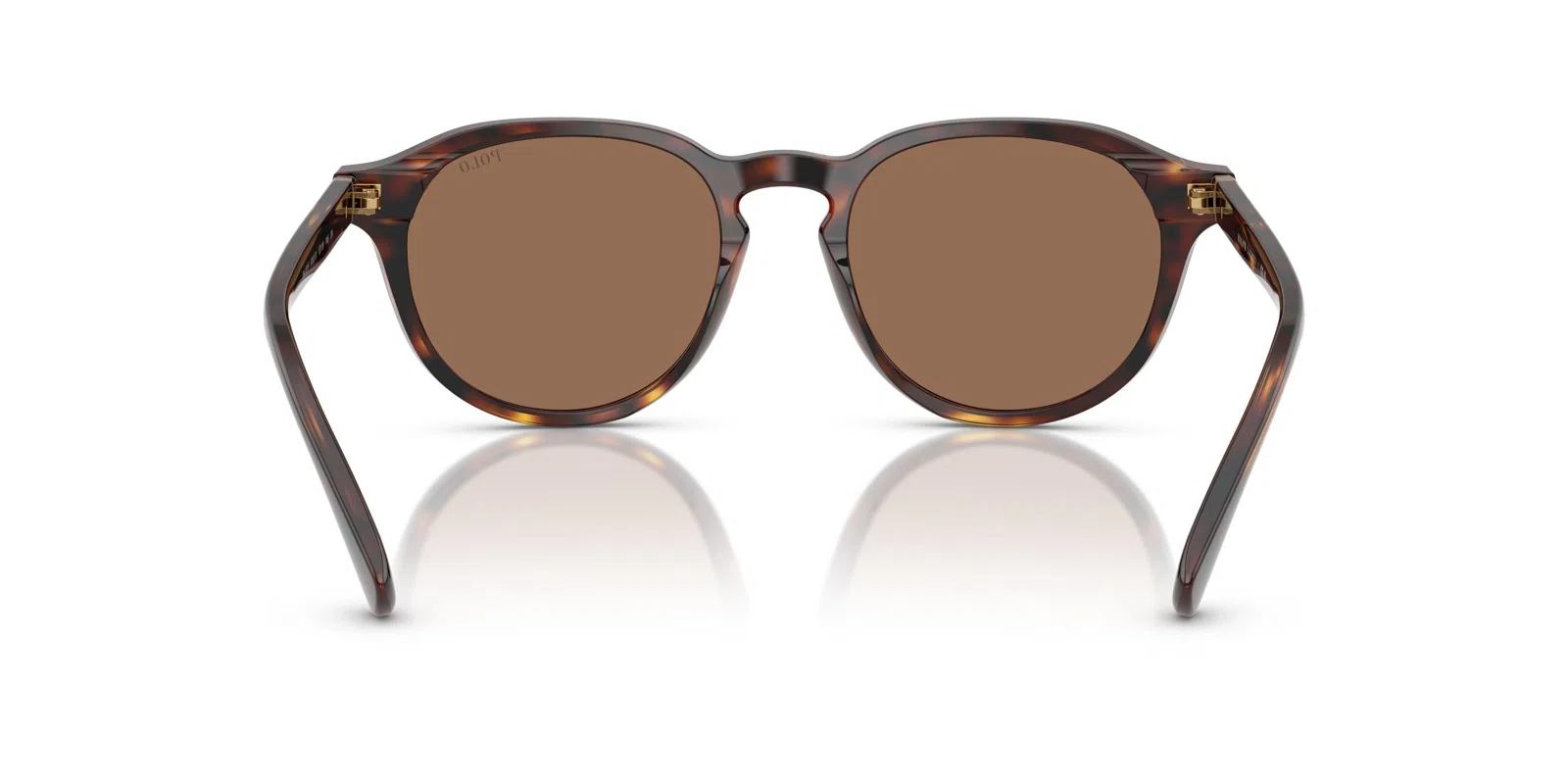Polo 4221F Sunglasses - view 11